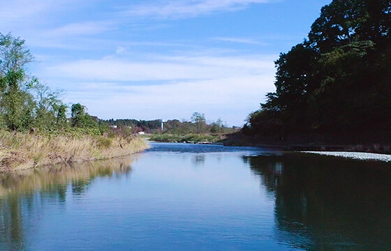 現在地はいづくなりや 映画監督東陽一 イメージ